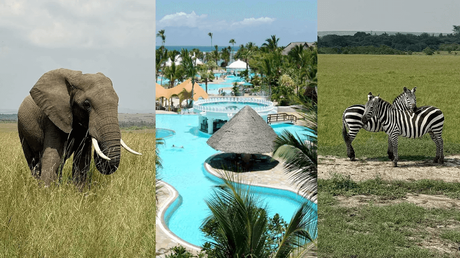 Bildcollage av safari och solsemester i Kenya.